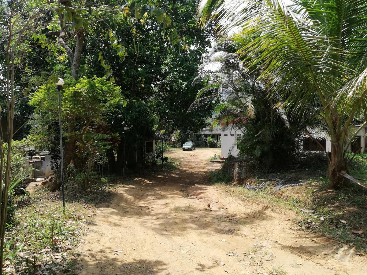 Leaf Guest House Gampola Dış mekan fotoğraf