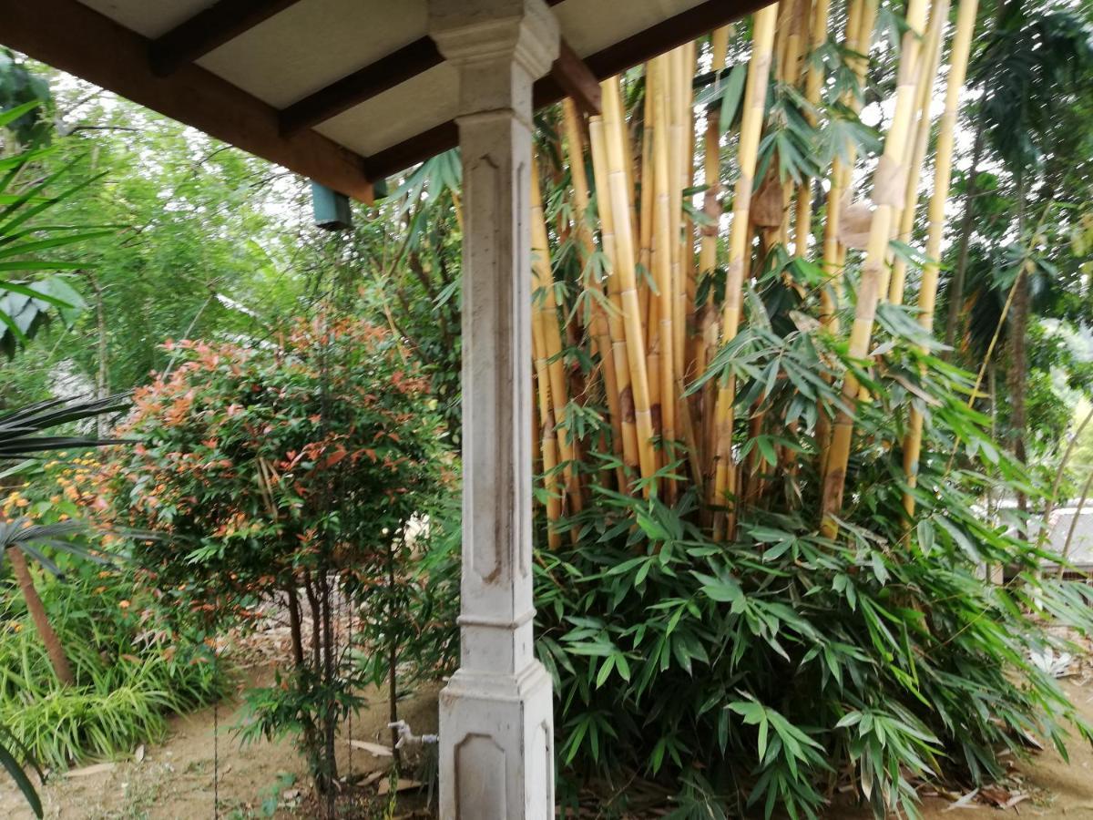 Leaf Guest House Gampola Dış mekan fotoğraf