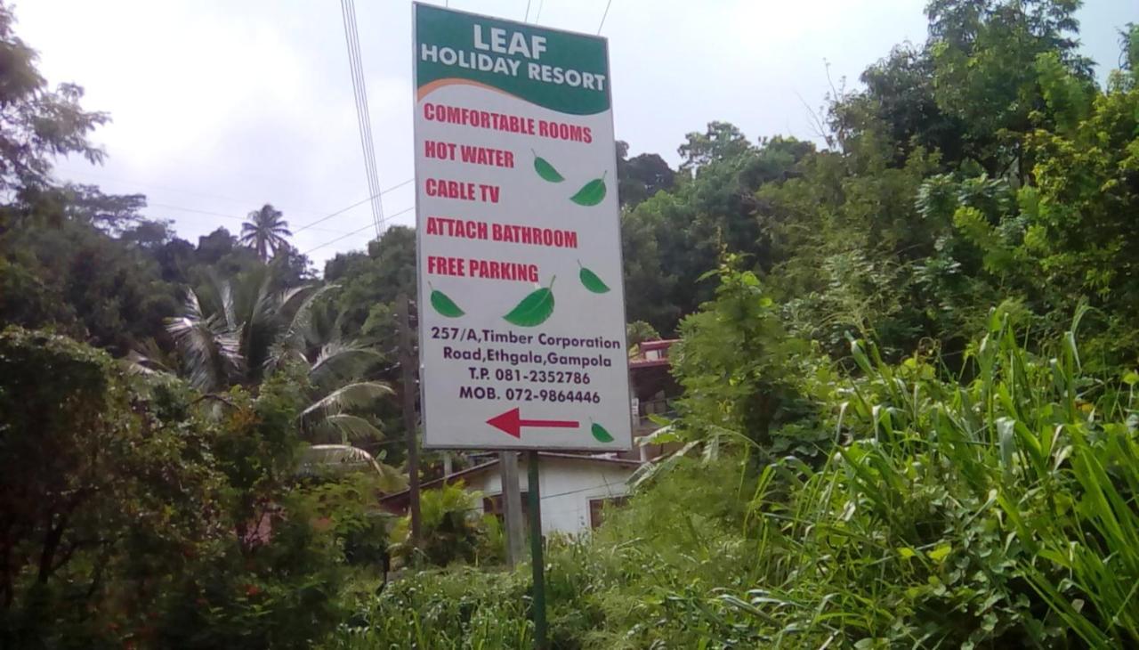 Leaf Guest House Gampola Dış mekan fotoğraf