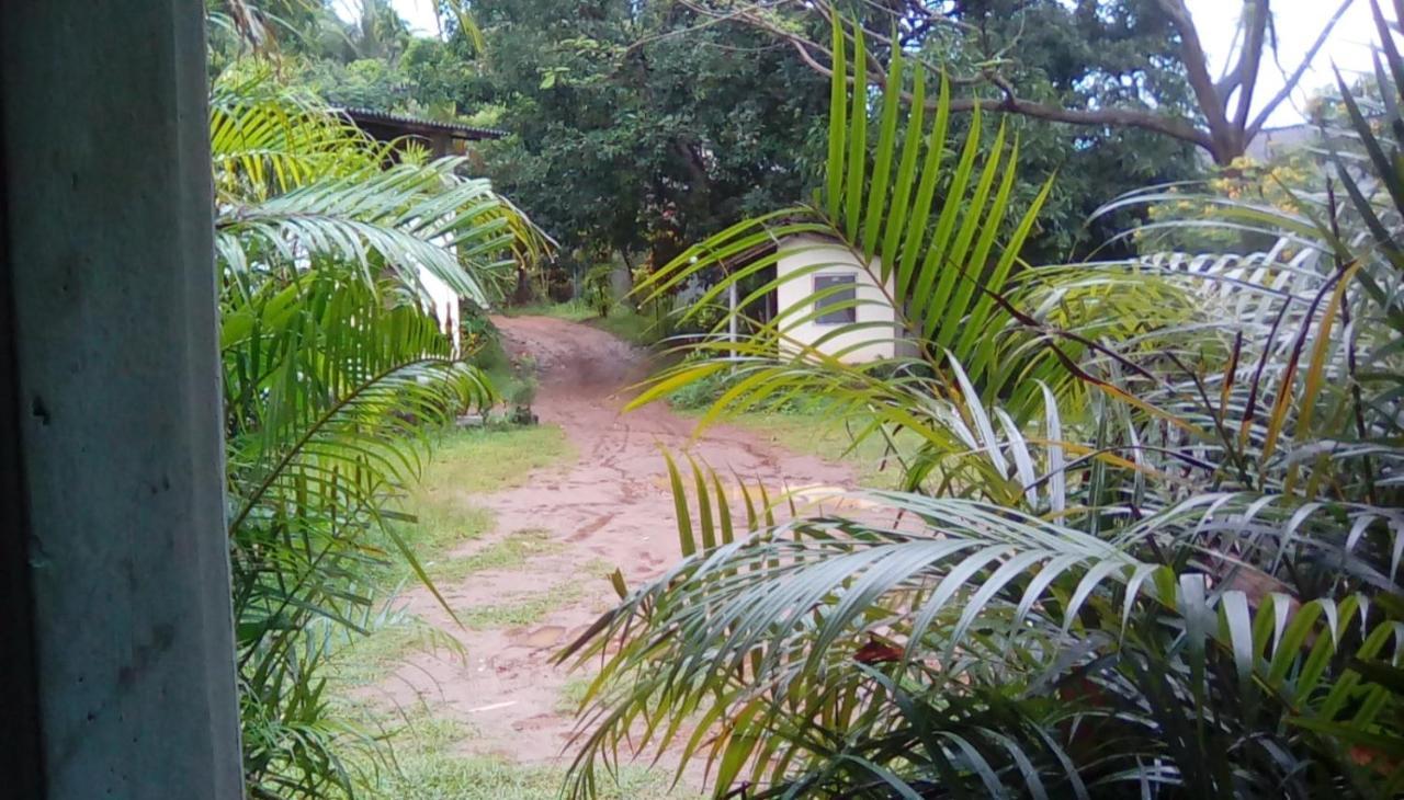 Leaf Guest House Gampola Dış mekan fotoğraf