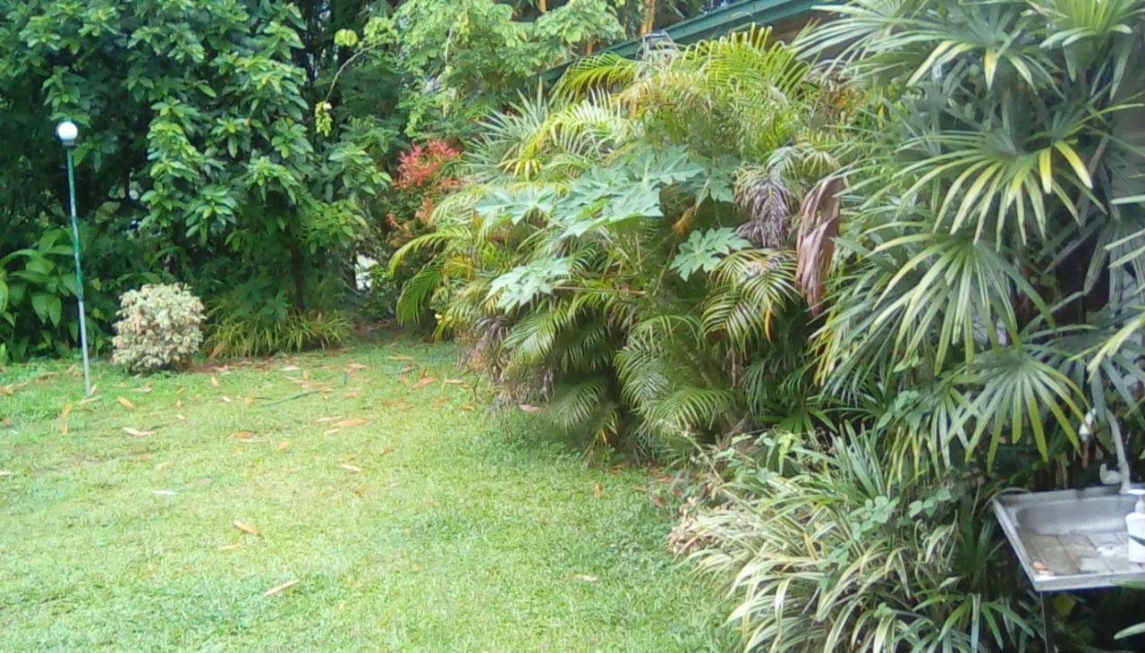 Leaf Guest House Gampola Dış mekan fotoğraf
