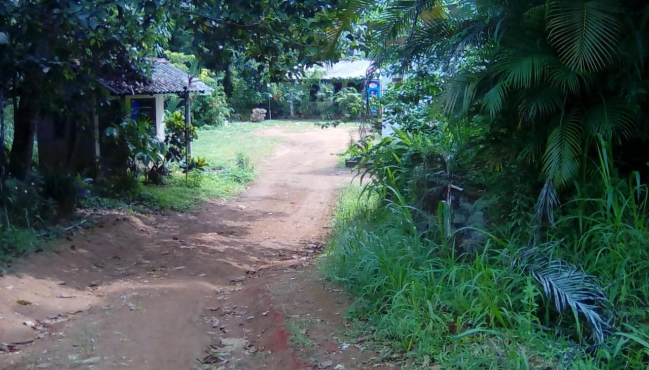 Leaf Guest House Gampola Dış mekan fotoğraf